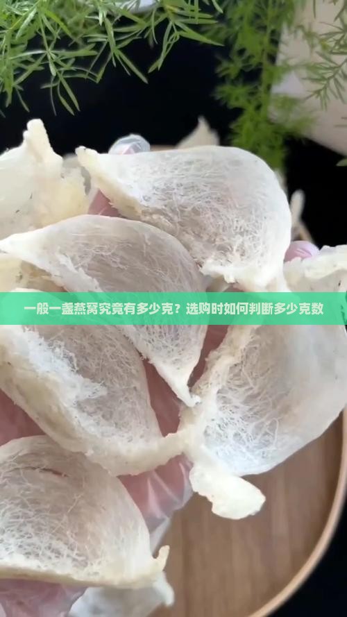 一般一盏燕窝究竟有多少克？选购时如何判断多少克数