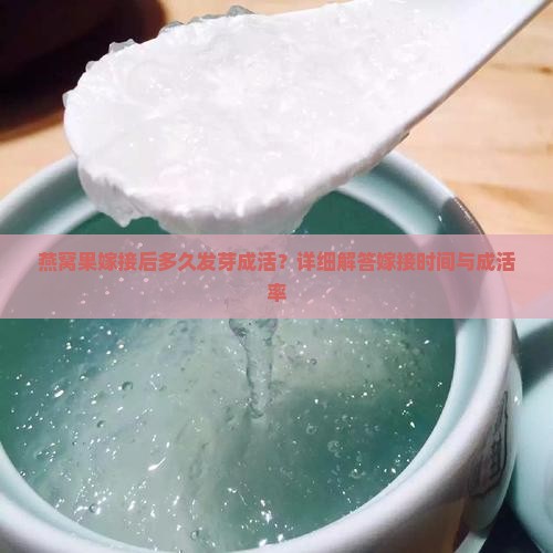 燕窝果嫁接后多久发芽成活？详细解答嫁接时间与成活率