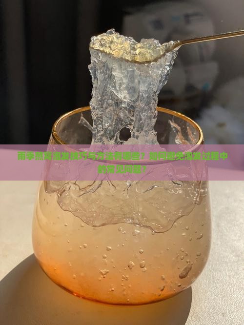 雨季燕窝泡发技巧与方法有哪些？如何避免泡发过程中的常见问题？