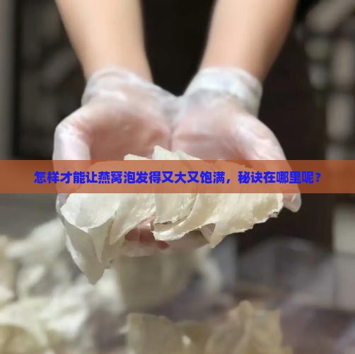 怎样才能让燕窝泡发得又大又饱满，秘诀在哪里呢？