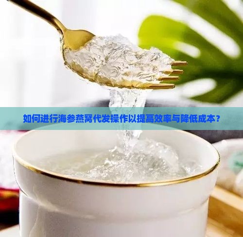 如何进行海参燕窝代发操作以提高效率与降低成本？