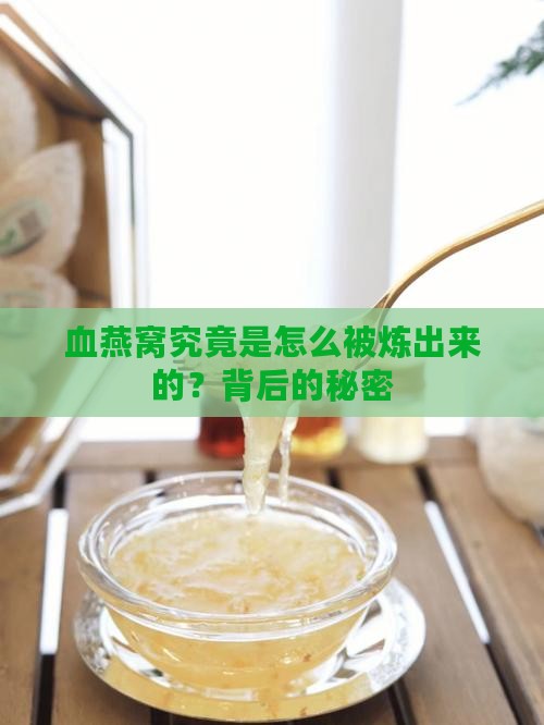 血燕窝究竟是怎么被炼出来的？背后的秘密