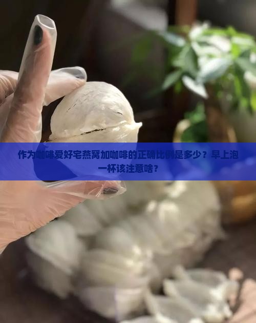 作为咖啡爱好宅燕窝加咖啡的正确比例是多少？早上泡一杯该注意啥？