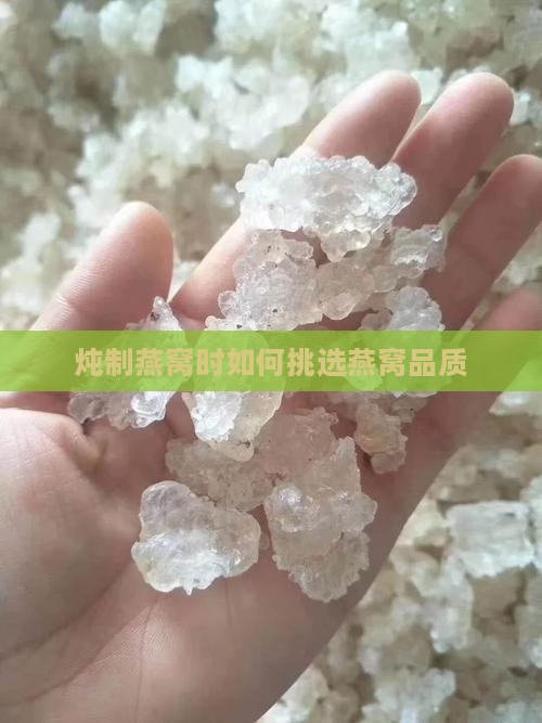 炖制燕窝时如何挑选燕窝品质