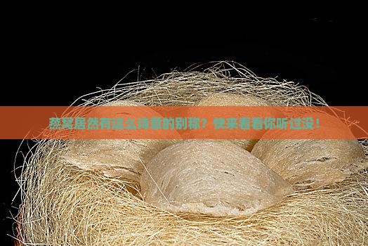 燕窝居然有这么诗意的别称？快来看看你听过没！