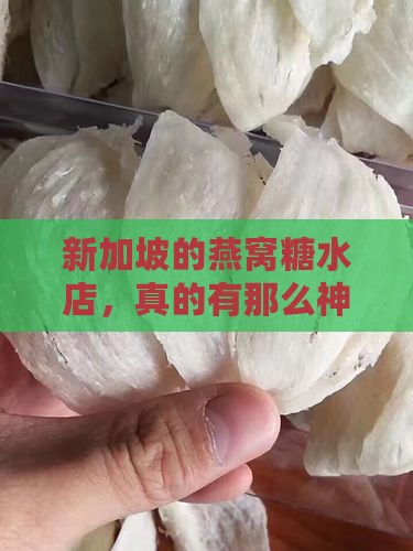新加坡的燕窝糖水店，真的有那么神吗？