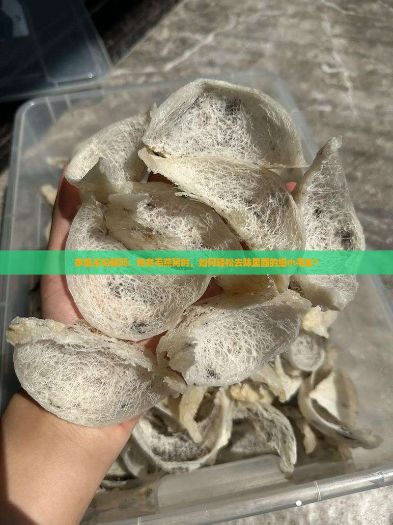 家庭主妇疑问：炖煮毛燕窝时，如何轻松去除里面的细小毛发？