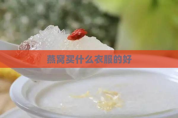 燕窝买什么衣服的好
