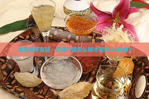 我是新手宝妈，燕窝代理怎么做才能月入5位数？