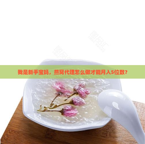 我是新手宝妈，燕窝代理怎么做才能月入5位数？