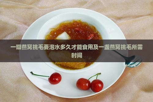 一瓣燕窝挑毛要泡水多久才能食用及一盏燕窝挑毛所需时间