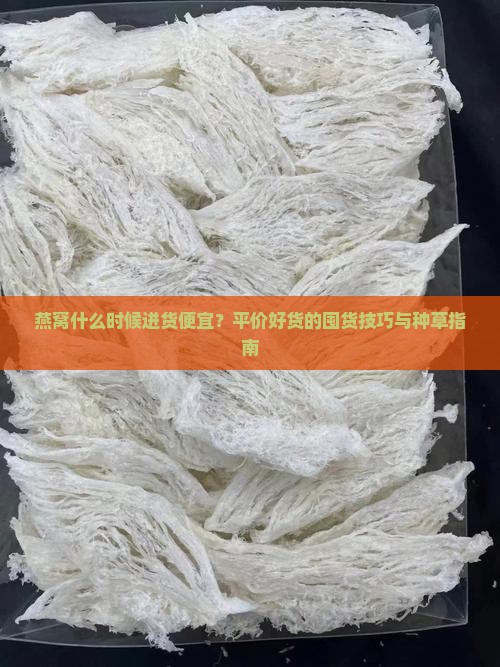 燕窝什么时候进货便宜？平价好货的囤货技巧与种草指南