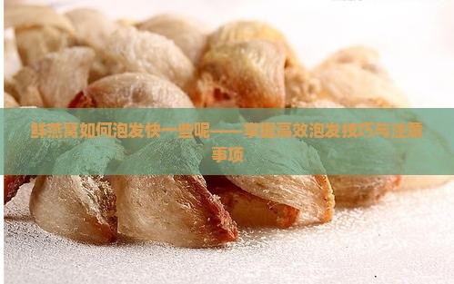 鲜燕窝如何泡发快一些呢——掌握高效泡发技巧与注意事项