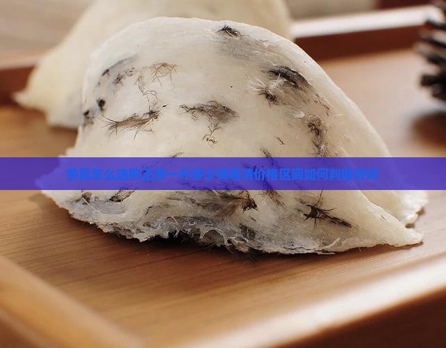 燕窝怎么选购正宗一斤多少钱看清价格区间如何判断好坏