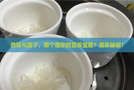 燕窝与莲子，哪个是你的营养宝藏？滋养秘籍！