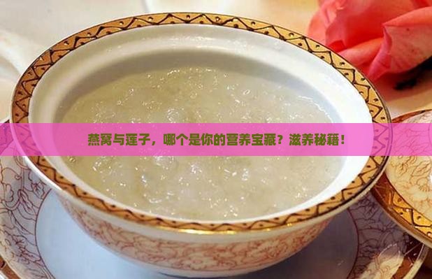 燕窝与莲子，哪个是你的营养宝藏？滋养秘籍！