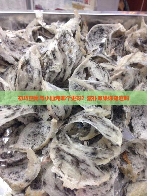 初巧燕窝与小仙炖哪个更好？滋补效果你知道吗