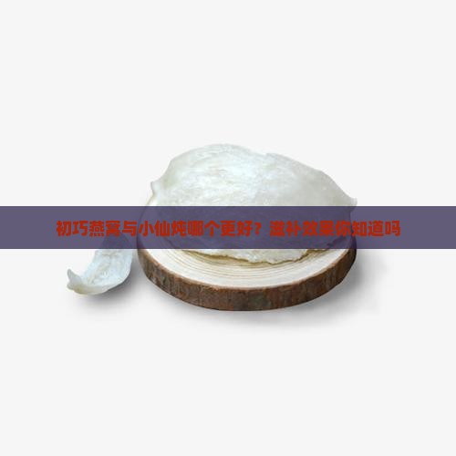 初巧燕窝与小仙炖哪个更好？滋补效果你知道吗