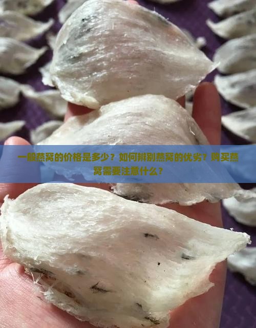 一般燕窝的价格是多少？如何辨别燕窝的优劣？购买燕窝需要注意什么？