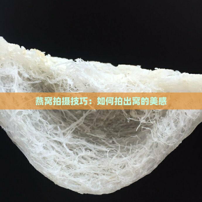 燕窝拍摄技巧：如何拍出窝的美感