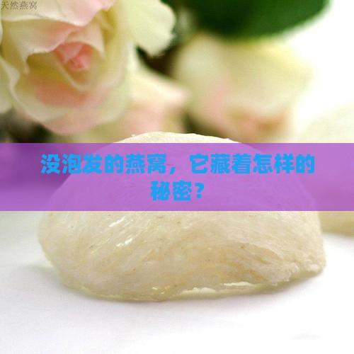 没泡发的燕窝，它藏着怎样的秘密？