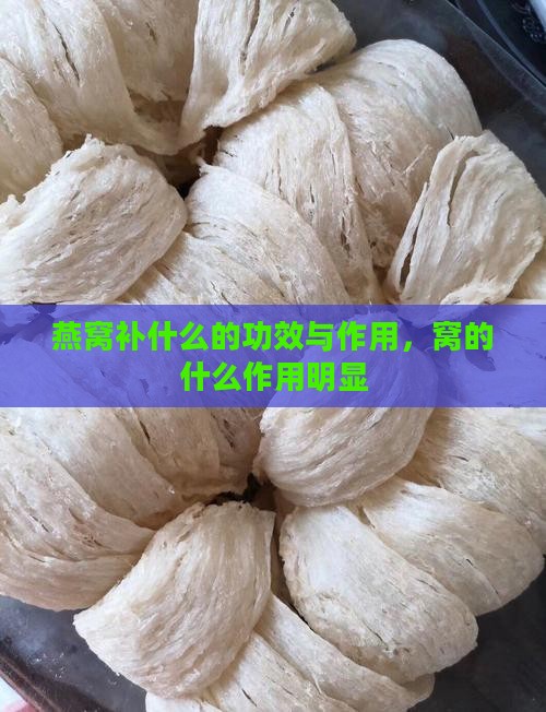 燕窝补什么的功效与作用，窝的什么作用明显