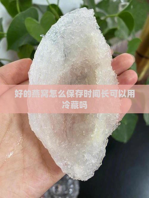 好的燕窝怎么保存时间长可以用冷藏吗