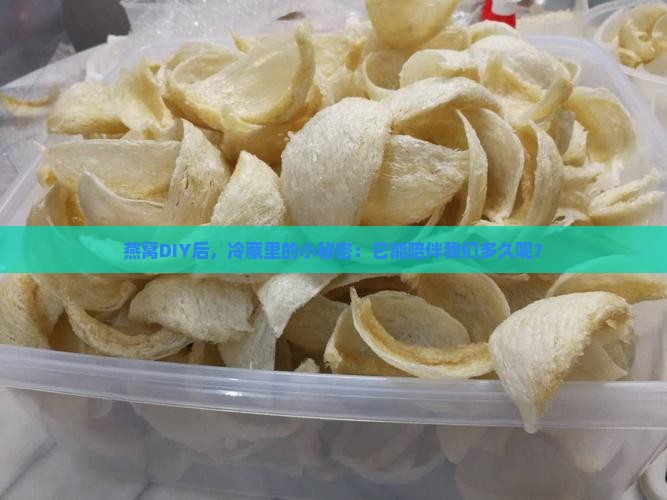 燕窝DIY后，冷藏里的小秘密：它能陪伴我们多久呢？