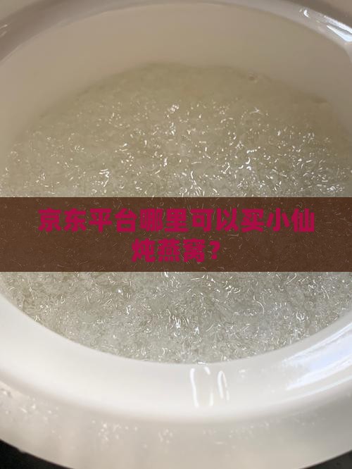 京东平台哪里可以买小仙炖燕窝？