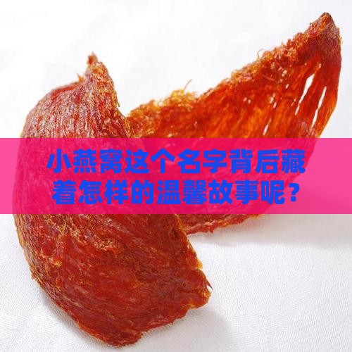 小燕窝这个名字背后藏着怎样的温馨故事呢？