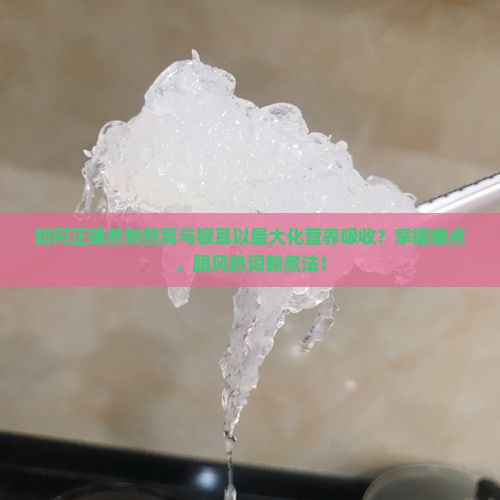 如何正确煮制燕窝与银耳以最大化营养吸收？掌握痛点，跟风热词新煮法！