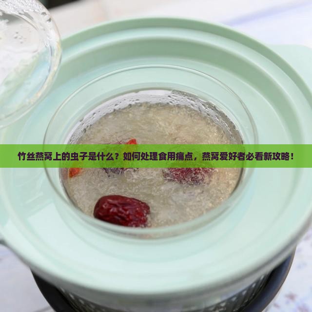 竹丝燕窝上的虫子是什么？如何处理食用痛点，燕窝爱好者必看新攻略！
