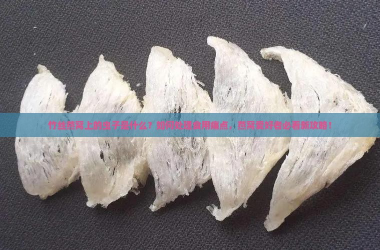竹丝燕窝上的虫子是什么？如何处理食用痛点，燕窝爱好者必看新攻略！