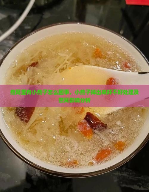 燕窝里有小燕子怎么回事，小燕子掉出来好不好处理及燕窝影响分析