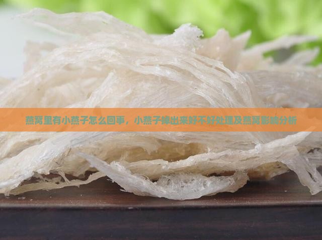 燕窝里有小燕子怎么回事，小燕子掉出来好不好处理及燕窝影响分析