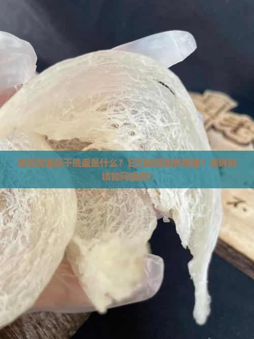燕窝疏盏和干挑盏是什么？它们的区别在哪里？选购时该如何选择？
