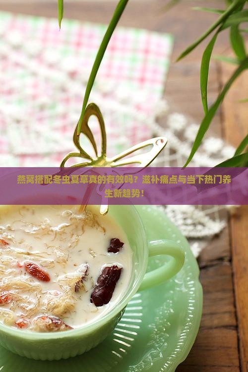 燕窝搭配冬虫夏草真的有效吗？滋补痛点与当下热门养生新趋势！