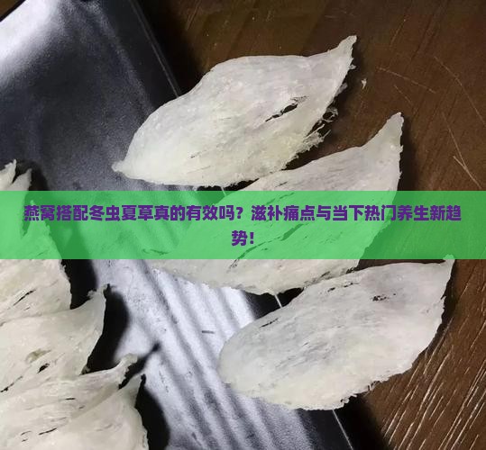 燕窝搭配冬虫夏草真的有效吗？滋补痛点与当下热门养生新趋势！