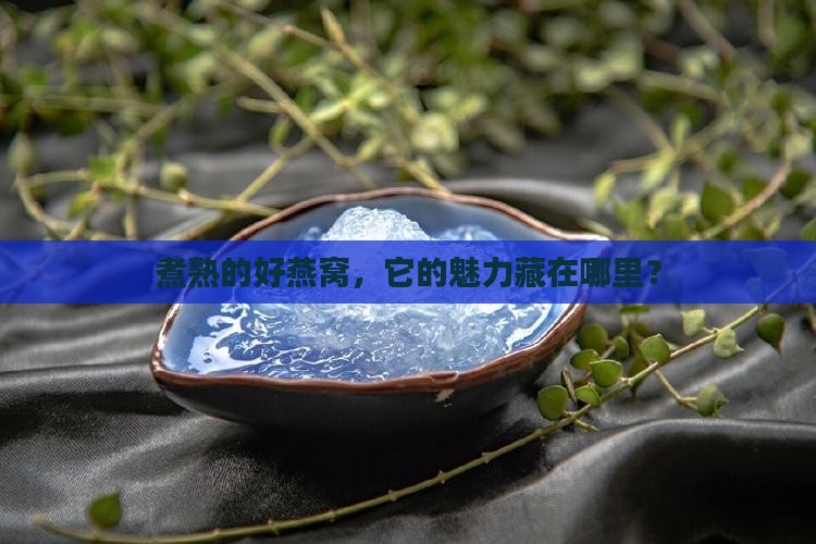 煮熟的好燕窝，它的魅力藏在哪里？