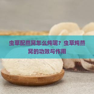 虫草配燕窝怎么炖呢？虫草炖燕窝的功效与作用