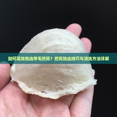 如何高效挑选带毛燕窝？燕窝挑选技巧与清洗方法详解