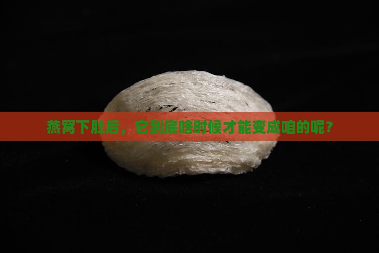 燕窝下肚后，它到底啥时候才能变成咱的呢？