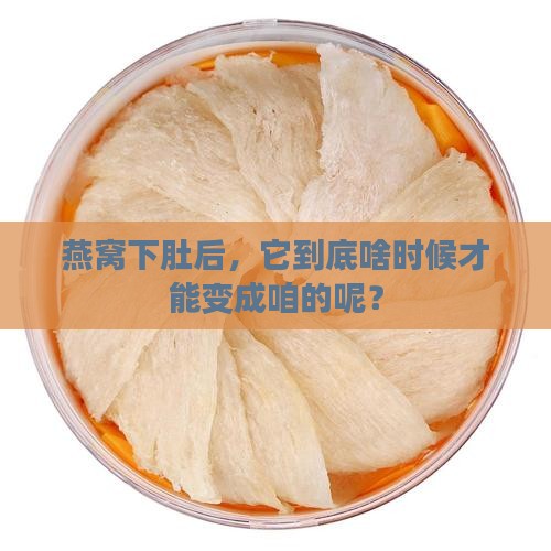 燕窝下肚后，它到底啥时候才能变成咱的呢？
