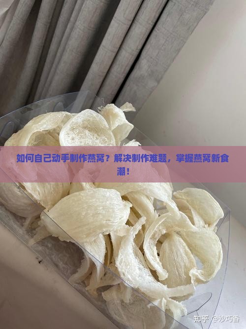 如何自己动手制作燕窝？解决制作难题，掌握燕窝新食潮！