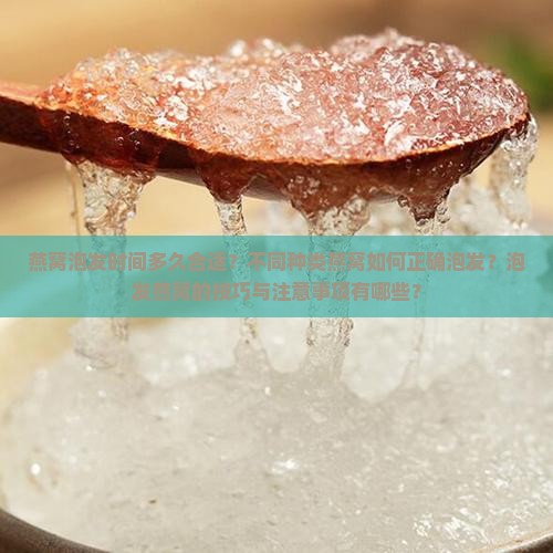 燕窝泡发时间多久合适？不同种类燕窝如何正确泡发？泡发燕窝的技巧与注意事项有哪些？
