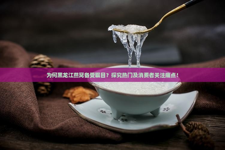 为何黑龙江燕窝备受瞩目？探究热门及消费者关注痛点！