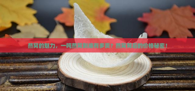 燕窝的魅力，一吨燕窝到底有多贵？燕窝背后的价格秘密！