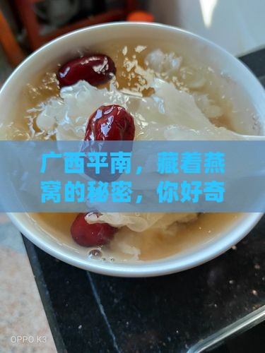 广西平南，藏着燕窝的秘密，你好奇吗？