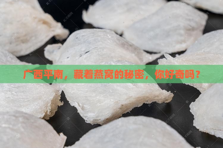 广西平南，藏着燕窝的秘密，你好奇吗？