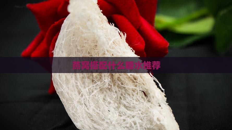 燕窝搭配什么糖水推荐
